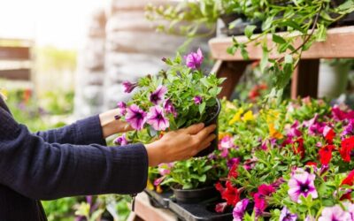 Jardinerie près de Morteau : sublimez vos espaces verts avec Les Paysages Fleuris