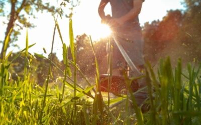 Conseils de jardinage près de Charquemont : entretenez votre jardin