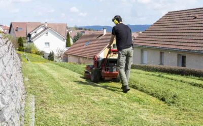 Tonte de pelouse à Morteau : les avantages d’une intervention professionnelle pour vos espaces verts