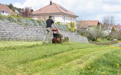 Tonte de pelouse près de Charquemont : pour un jardin élégant