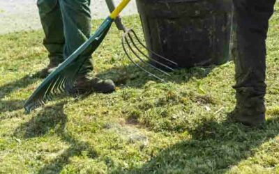 Aménagement de jardin à Maîche : transformez votre espace extérieur